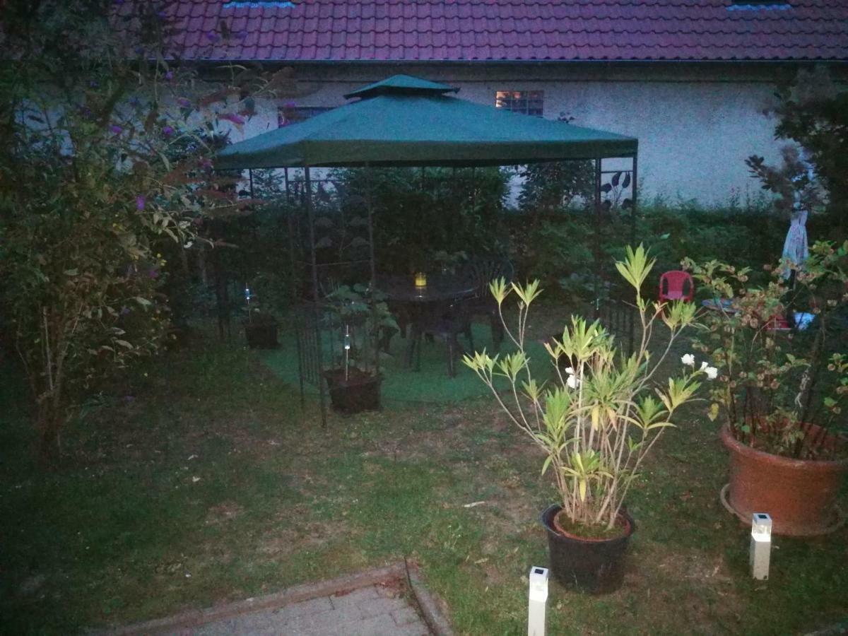 Ferienwohnung Am Finkenherd Dankerode  외부 사진